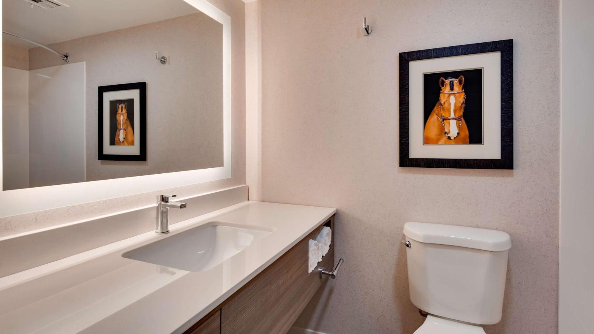 Aiden By Best Western Scottsdale North Екстериор снимка